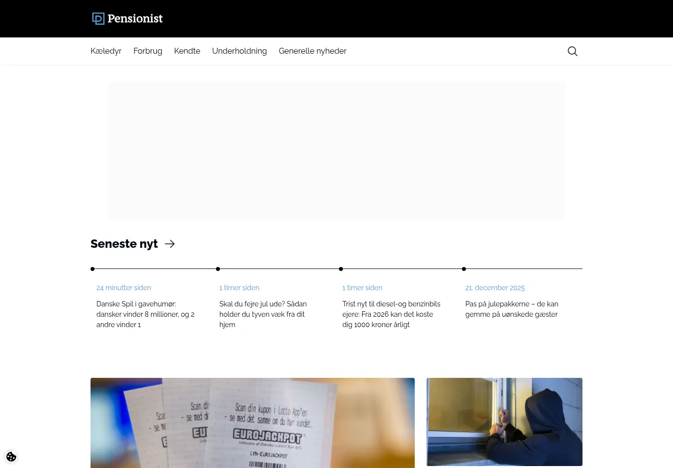 pensionist.dk screenshot