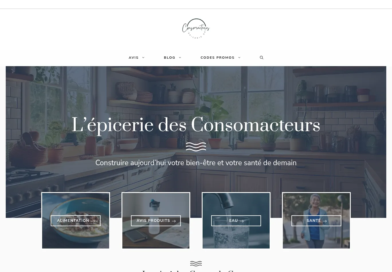 epiceriedesconsomacteurs.fr screenshot