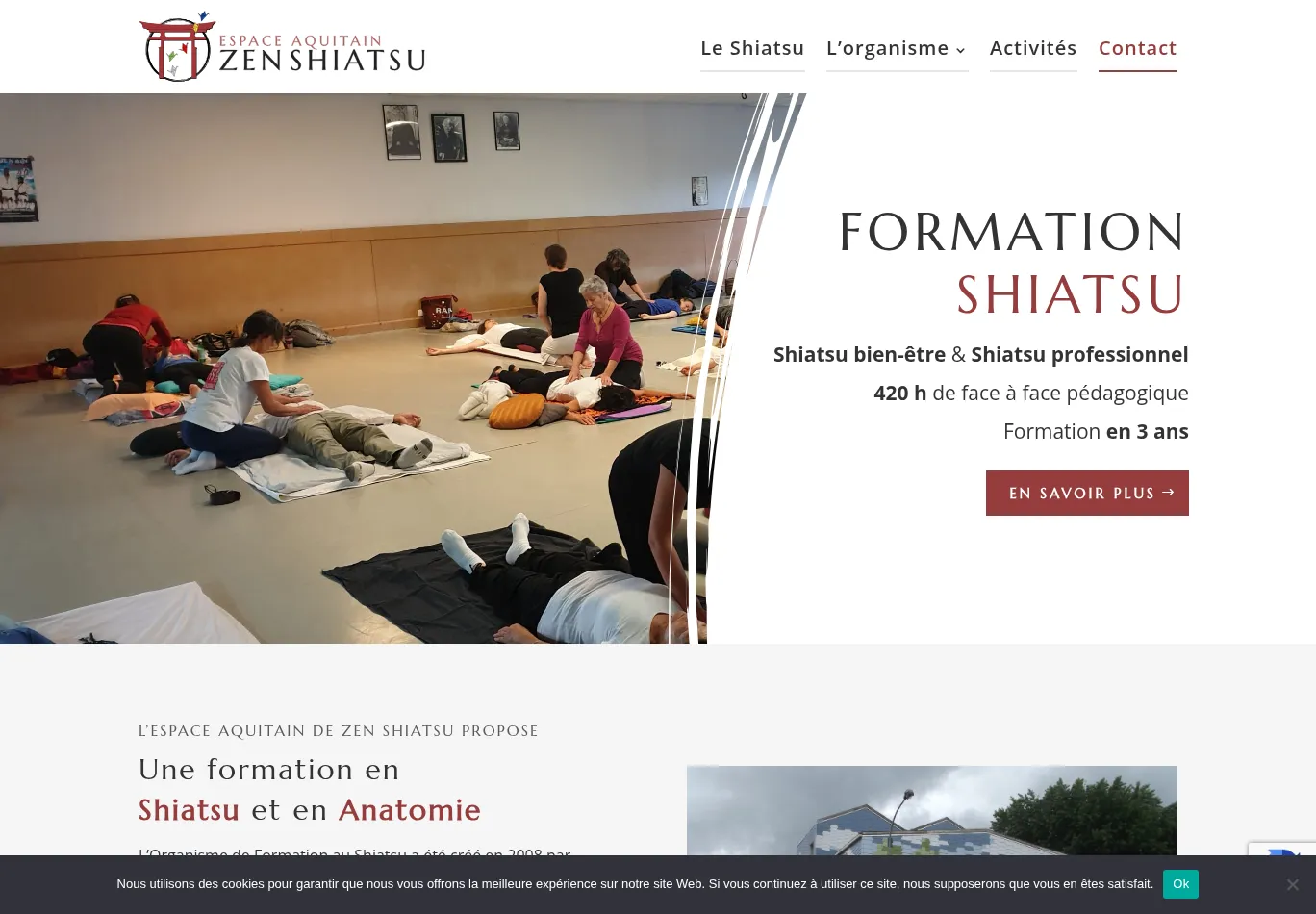 formation-shiatsu-bordeaux.fr before consent screenshot