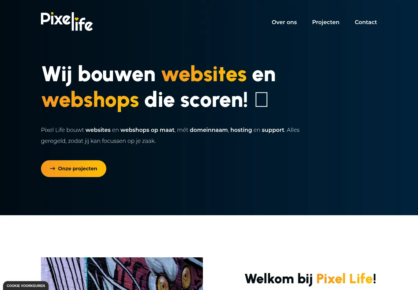 pixellife.be necessary only consent screenshot