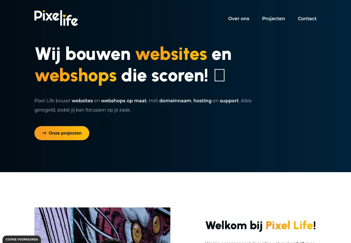 pixellife.be before consent screenshot