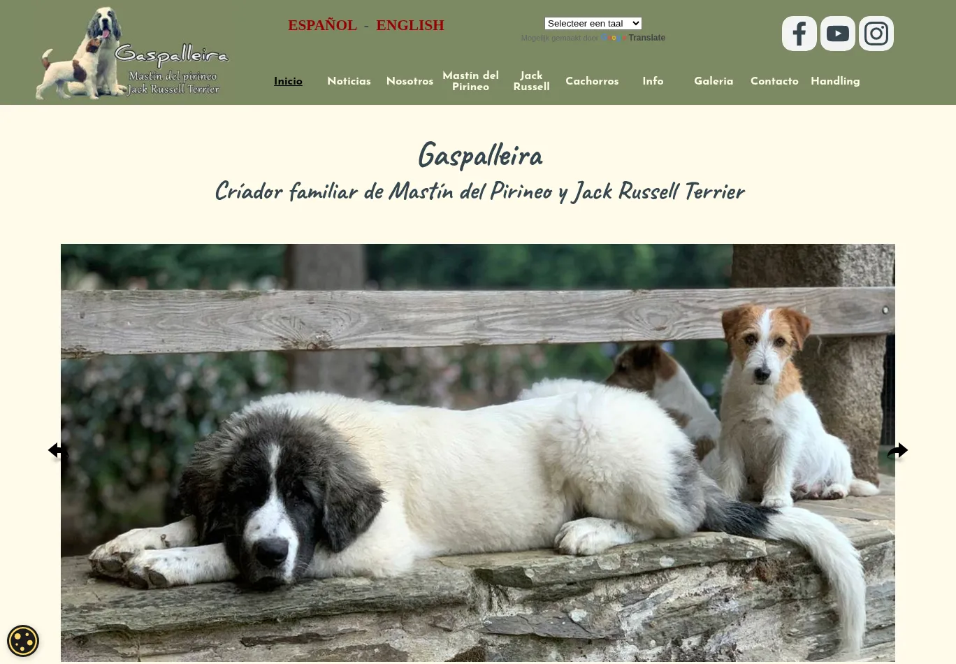 gaspalleira.es screenshot