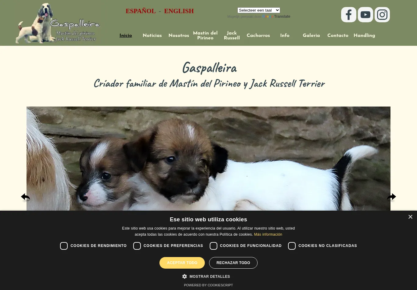 gaspalleira.es before consent screenshot