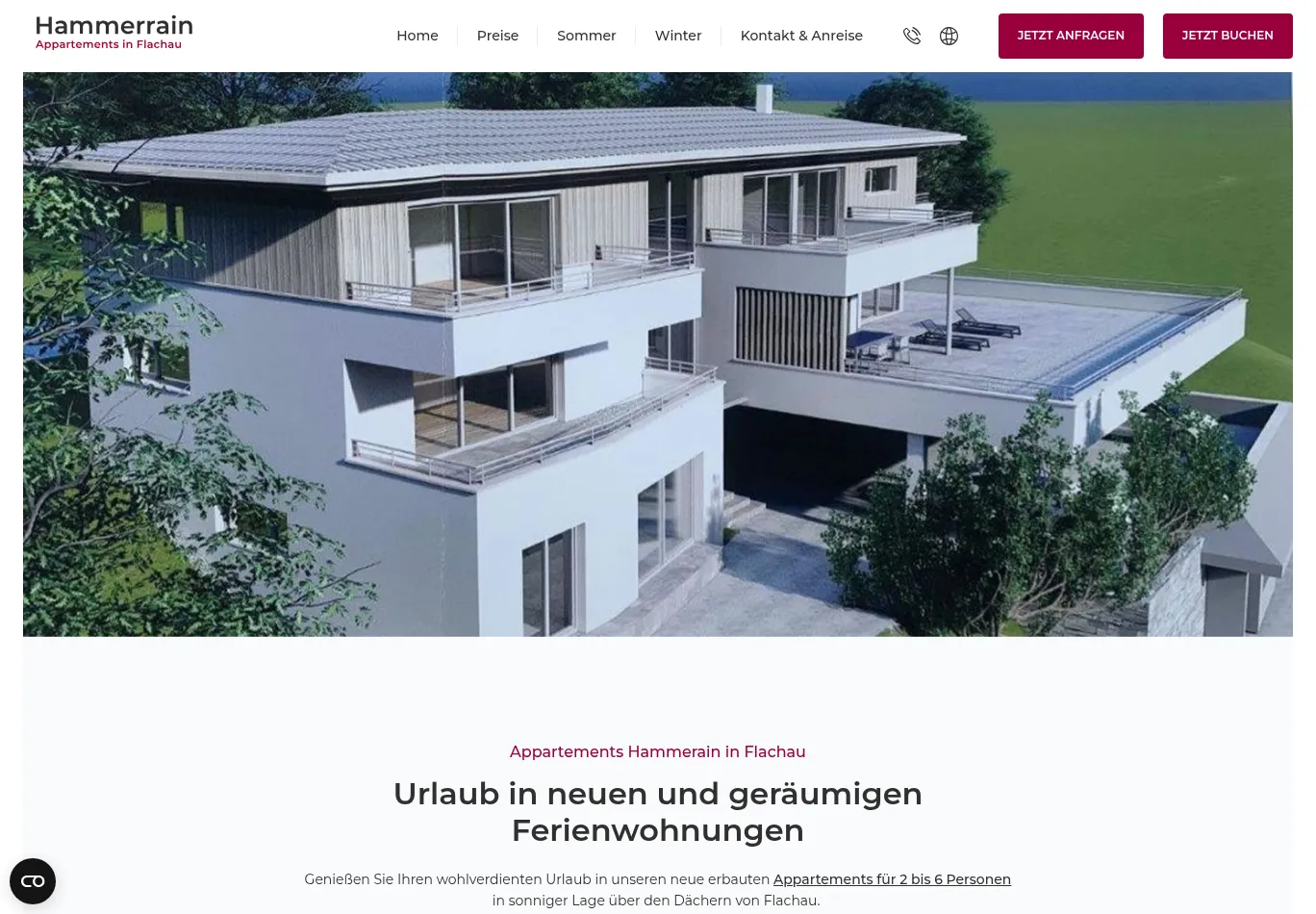 hammerrain-flachau.at screenshot