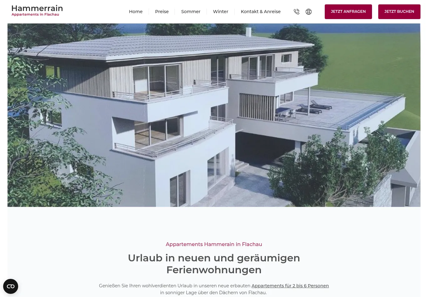 hammerrain-flachau.at necessary only consent screenshot