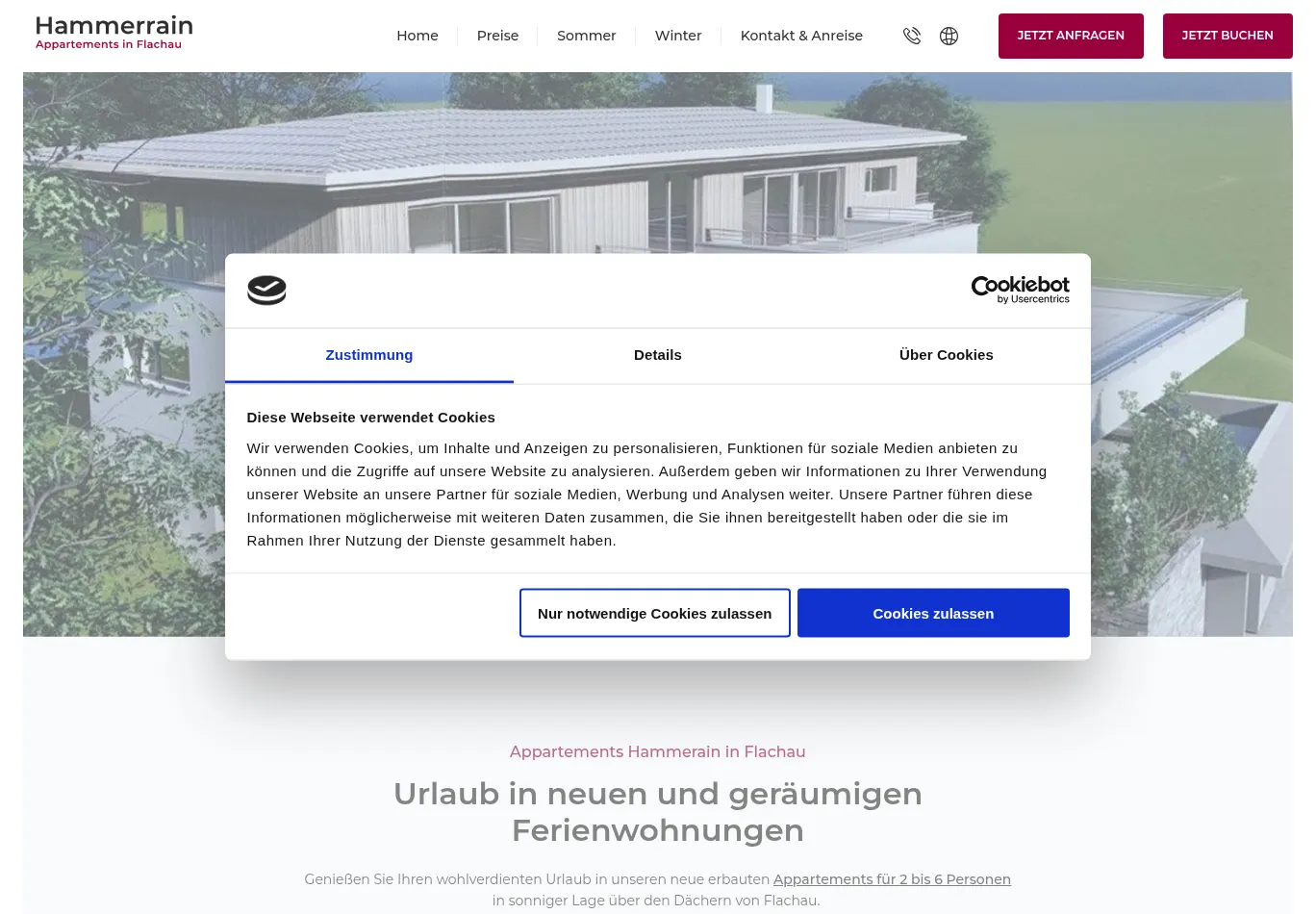 hammerrain-flachau.at before consent screenshot