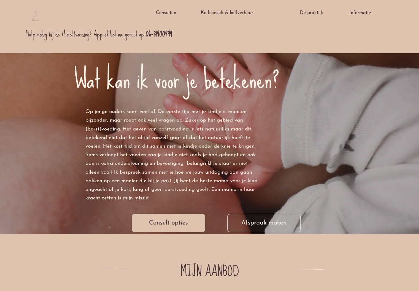 lactatiekundigemammae.nl screenshot