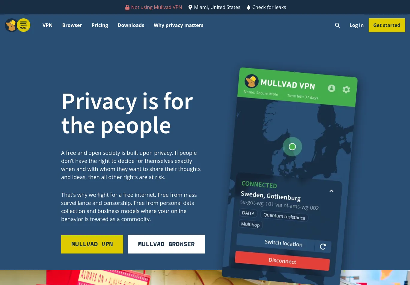 mullvad.net screenshot