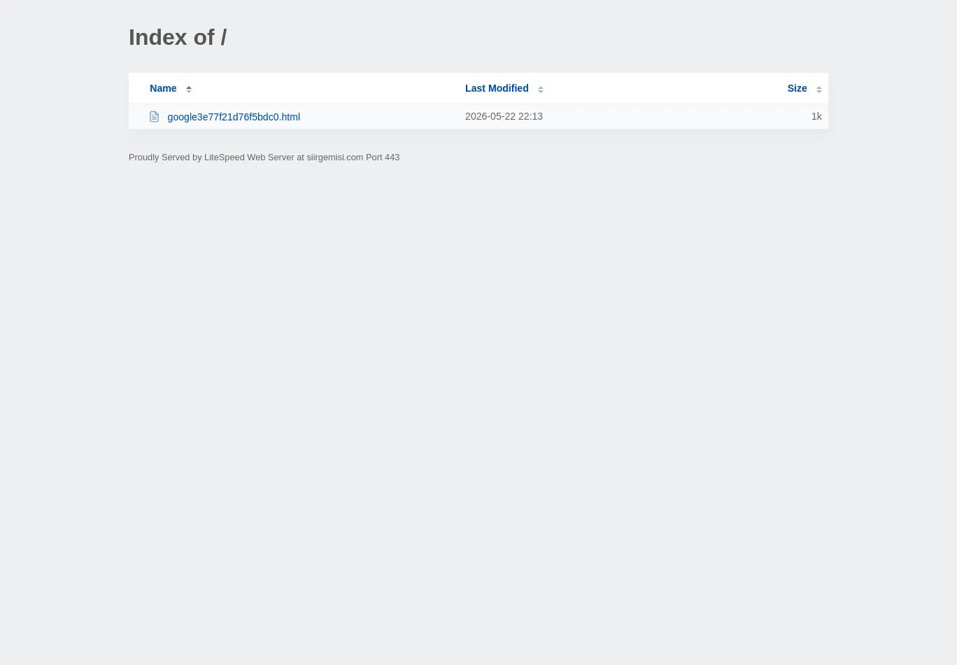 siirgemisi.com screenshot