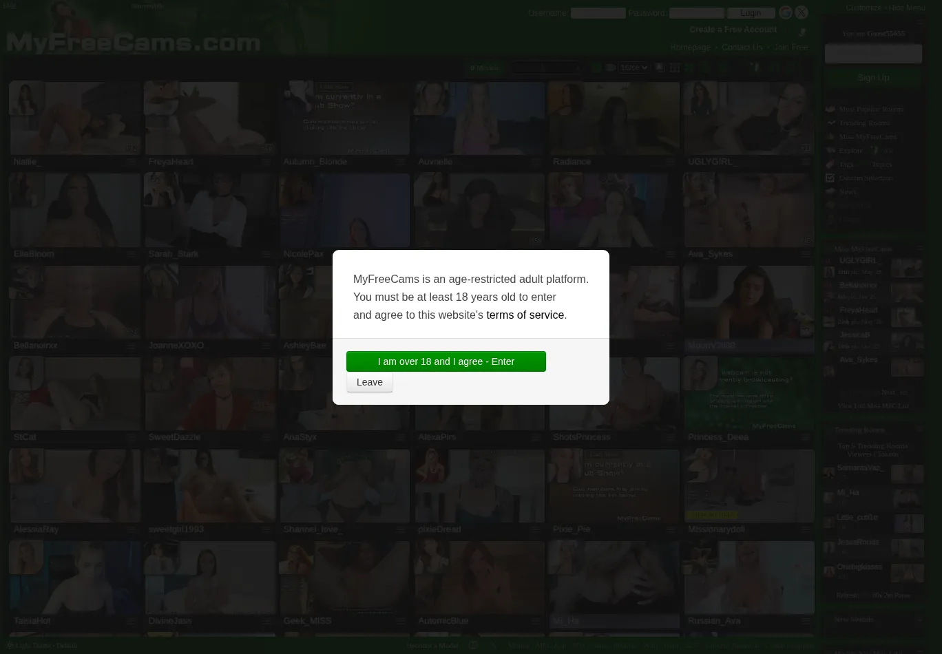 myfreecams.stream screenshot