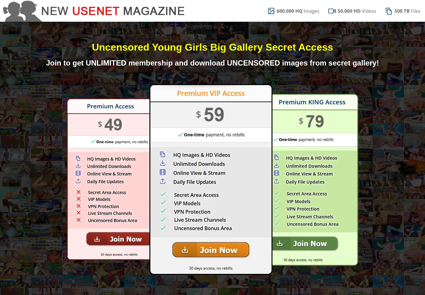 usenetmag.top screenshot