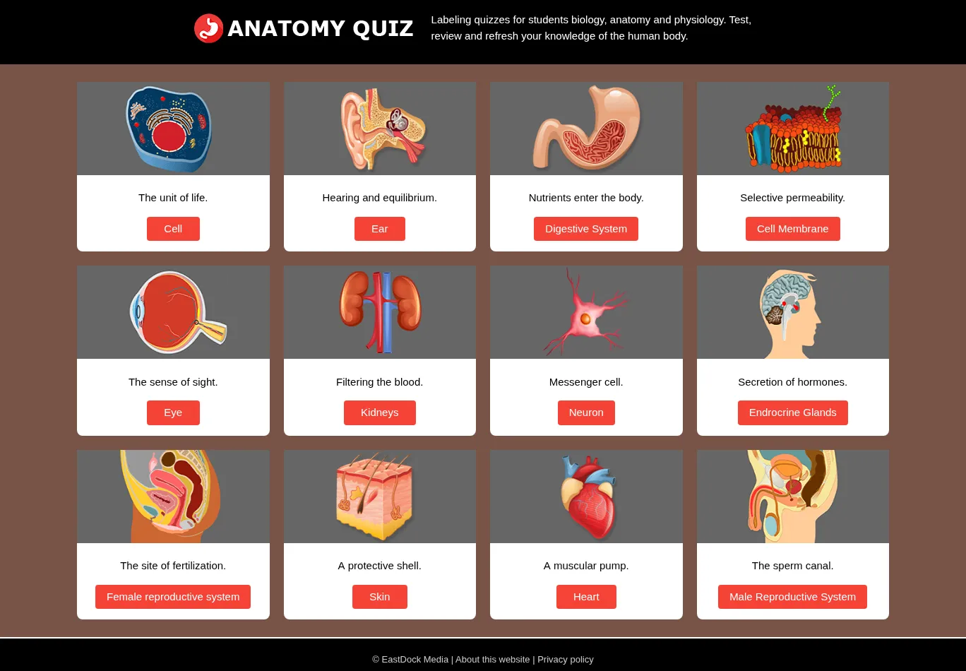 anatomy-quiz.com screenshot