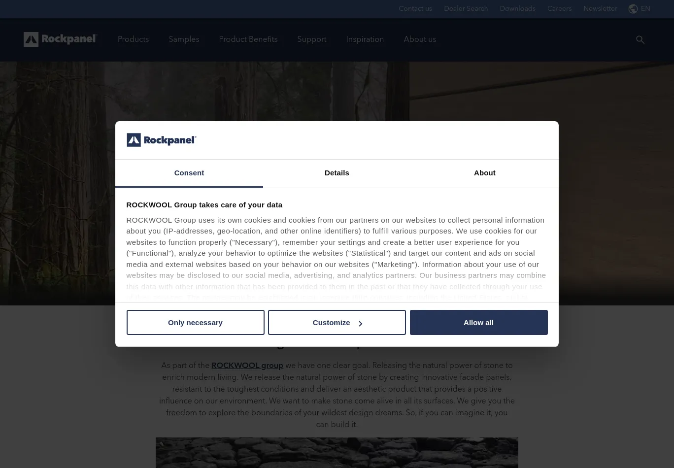 rockpanel.com before consent screenshot