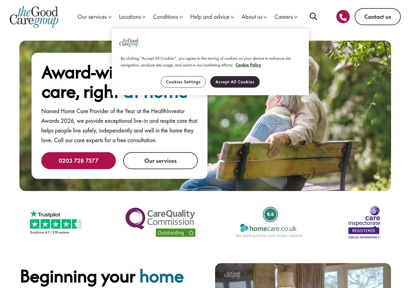 thegoodcaregroup.com before consent screenshot