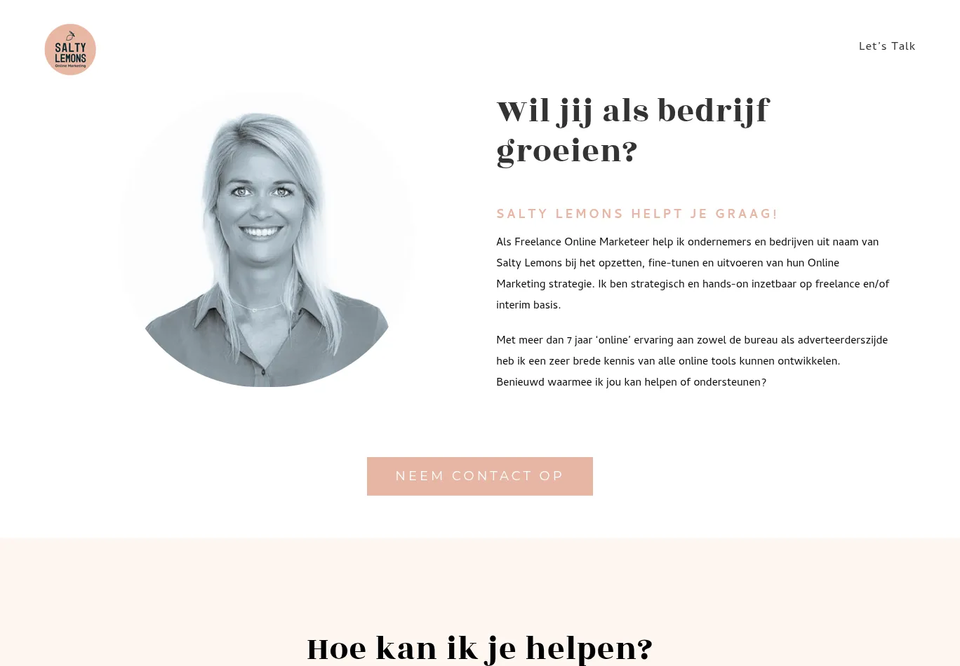 saltylemons.nl screenshot