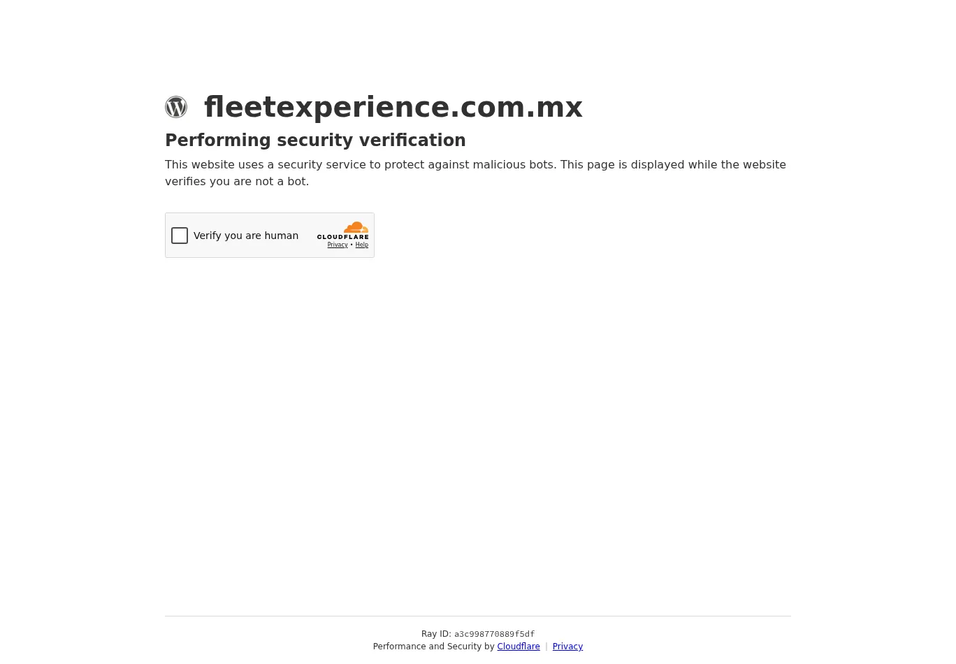 fleetexperience.com.mx screenshot