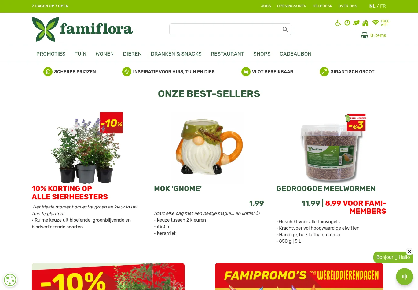 famiflora.be screenshot