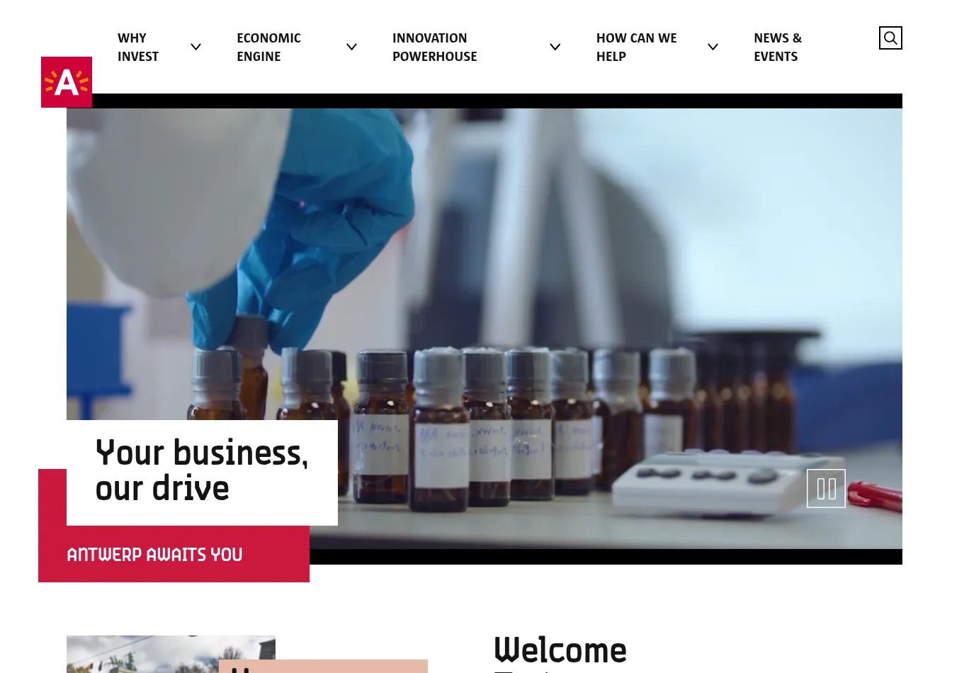 businessinantwerp.eu necessary only consent screenshot