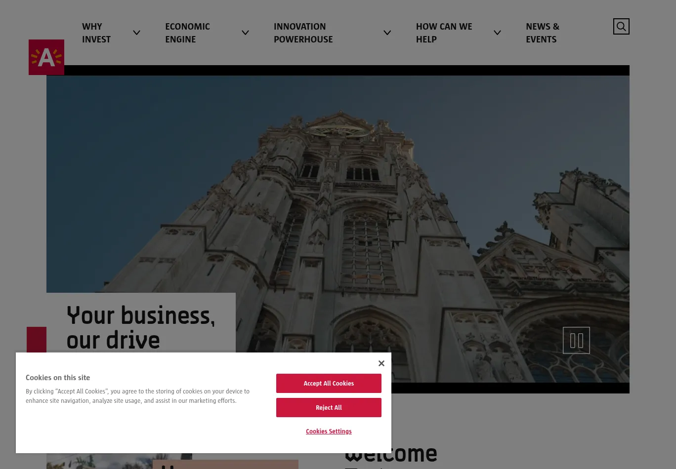 businessinantwerp.eu before consent screenshot
